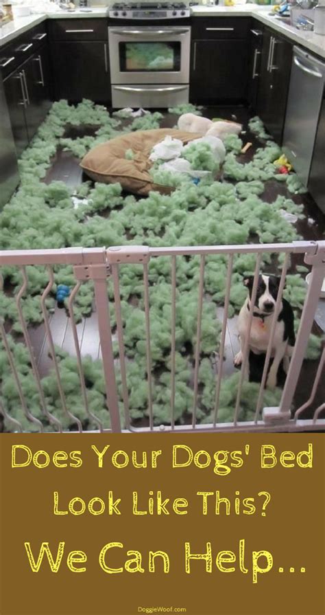 Buying a chew proof dog bed is a good idea if your fido is the type of pet that likes to destroy stuff through chewing. Pin on * # Pins For Group Boards