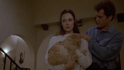 ^ unlawful entry, box office mojo. Unlawful Entry (1992 | Tabby cat, Cat eye problems, Tabby