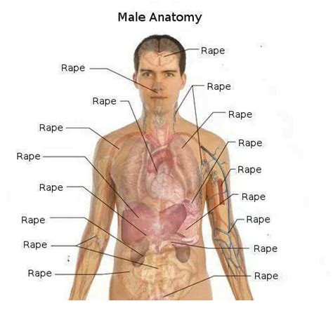 I still learn about anatomy too. Male Anatomy Rape Rape Rape Rape Rape Rape Rape Rape Rape ...