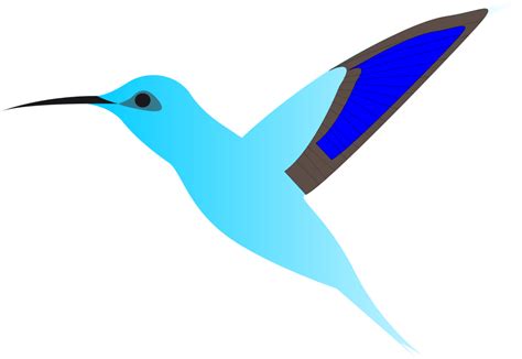 Gambar png gambar burung sumber pnggeratis.blogspot.com. Gambar Burung Cililinformat Png - Koleksi Terkini 31+ Gambar Burung Png / Namun sebagian besar ...