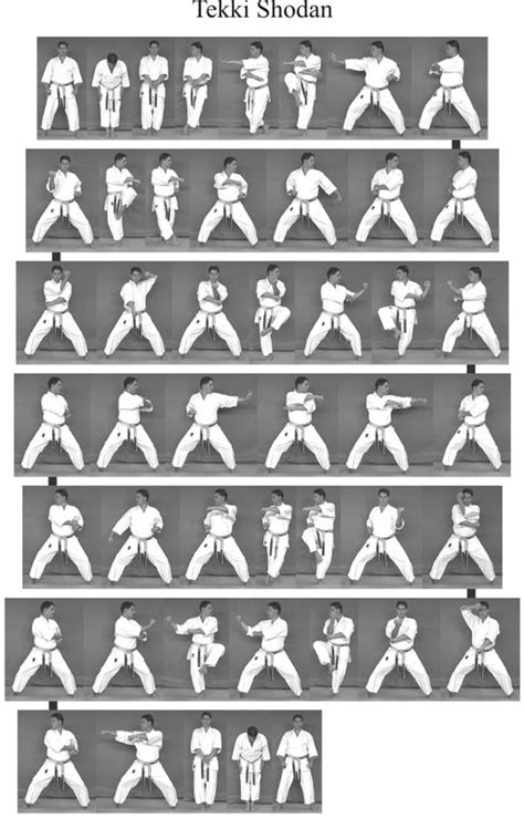 Gojushiho sho (五十四歩小) means ~ 54 steps introduced by ~ yasutsune itosu. Tekki Shodan | Shotokan karate, Kampfkünste ...