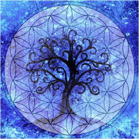 The Tree of Life - Meaning & Symbolism - Insight state