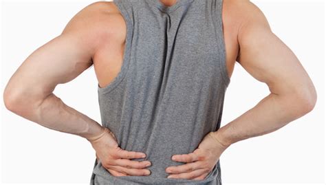 Usually derived from latin, a muscle's name often tells you something about the muscle, such as its location, origin. Name Of Lower Back Muscles - Back Pain Causes Treatment And When To See A Doctor : See more ...
