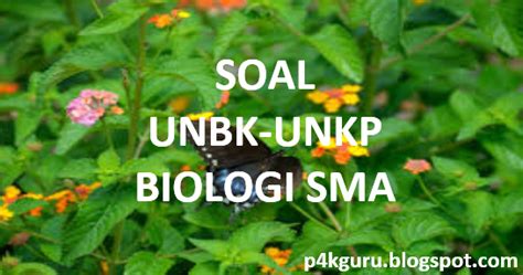 Demikianlah artikel dalam pembahasan kali ini tentang contoh soal ipa biologi kelas x sma/smk. Kumpulan Soal UNBK-UNKP Biologi SMA - p4kGURU