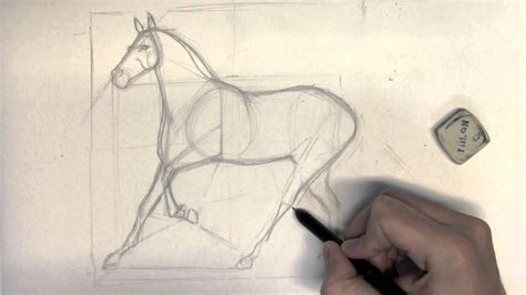 Voir plus d'idées sur le thème dessin, dessin realiste, art dessin. Comment dessiner un cheval étape par étape - part 1 - YouTube