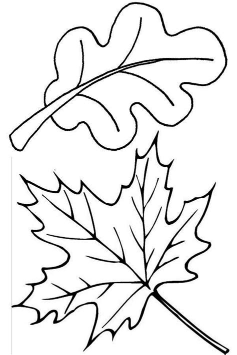 However, beech trees have two notable advantages when it comes to fall foliage: Leaves Coloring Pages Download