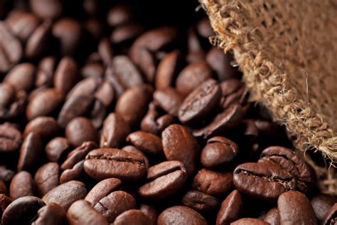 Ceylon Arabica Coffee Beans Best Quality World Class Coffee | Etsy
