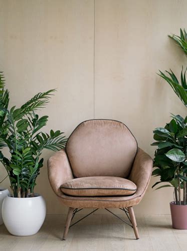 Birch plywood is ideal for maki. Birch - Besgrade Plywood Sdn. Bhd.