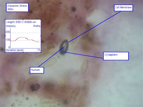 We did not find results for: Animalia - 6 Kingdoms of Life Project