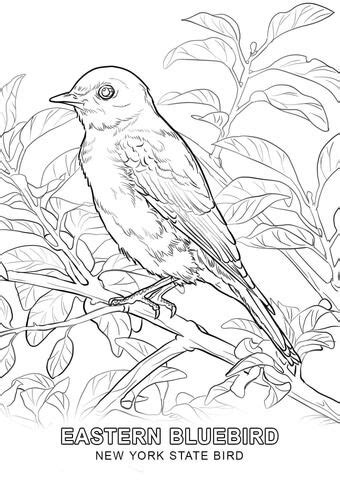 These are some of the most common formats used for coloring page printing. Click to see printable version of New York State Bird ...