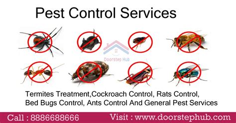 Be gone pest control services®. We are specialized in providing professional pesterer ...