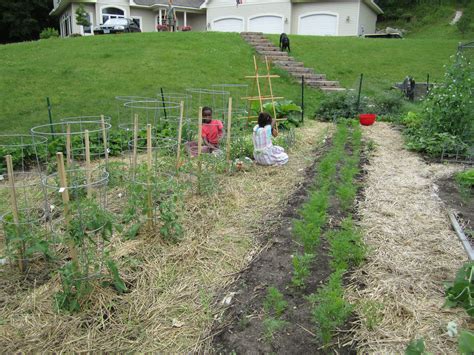 Even though we all try to keep weed seeds out of our compost and our gardens, they still get in there. Straw between the rows helps keep down (not completely out ...