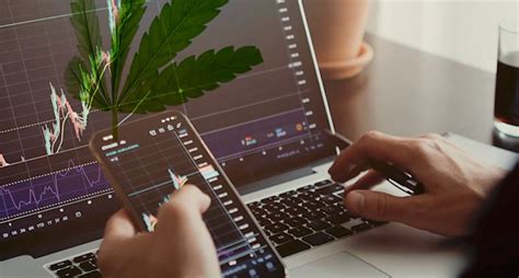 In the blockchain space, however, amd is recognised as a market leader for offering gpu devices for the purpose of cryptocurrency mining. Can These Marijuana Stocks See Big Gains in 2021 ...