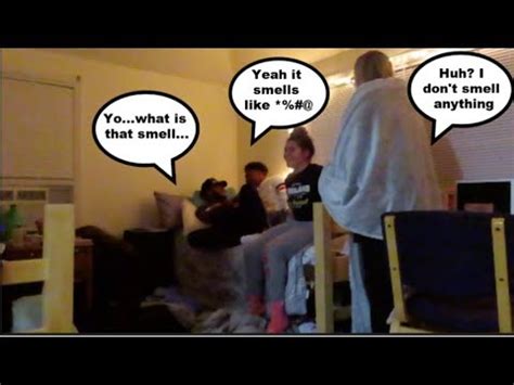 I looked him straight in the eyes and said bad dog! — sinister_compliment. FART SPRAY PRANK ON GUY BEST FRIENDS😵😷~ WILL THEY TELL ME ...