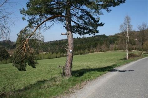 It has about 1,300 inhabitants. Nedvědice - Okolí a příroda