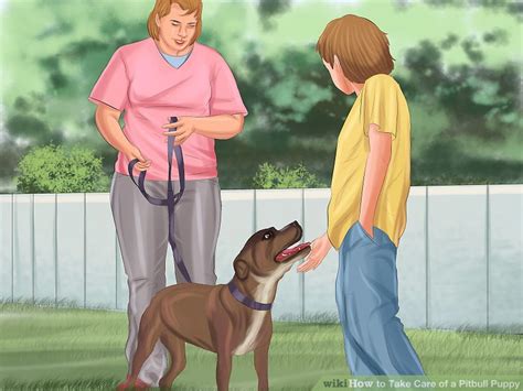 Another option is to check out a book on the topic from your local library. 3 Ways to Take Care of a Pitbull Puppy - wikiHow