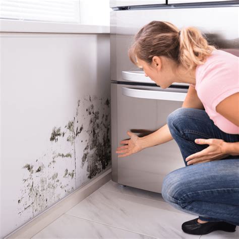 So what do you do when you find mold, and how do you know if your homeowners insurance policy covers mold damage? Does Homeowners Insurance Cover Mold? | Clearsurance
