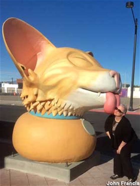 Hire las vegas cat sitters. Las Vegas, NV - Giant Licking Cat Head