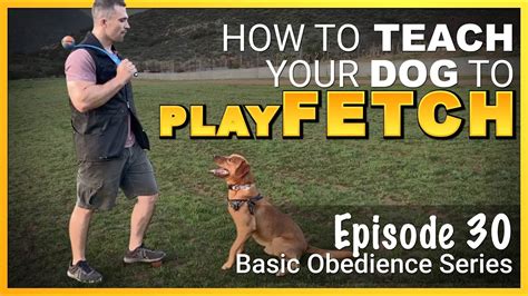 August 17, 2013 by sara yoo. How to Teach Your Dog To Play Fetch. Episode 30 - YouTube