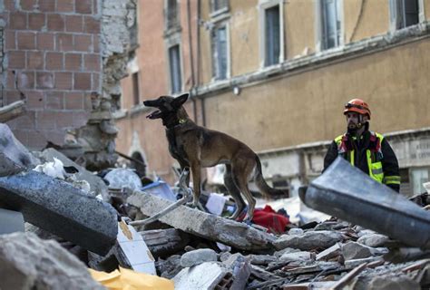 Monitoraggio e sorveglianza sismica in italia. INGV Terremoti Diretta Streaming: conferenza stampa online ...