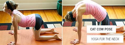 Cat pose often is combined with cow pose (bitilasana) to lengthen and open up your spine. Art/Yoga Fusion: Chakra Series - Yin Yoga for the Throat ...
