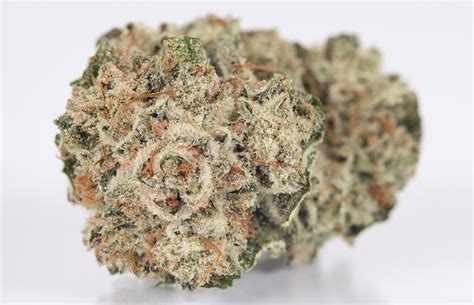 Gelato glue which also goes by gorilla gelato glue, is an indica cannabis strain that's considered potent by today's standards with an average thc level of 28%. Gorilla Glue #4: The Popular and Potent Diesel-Heavy Hybrid