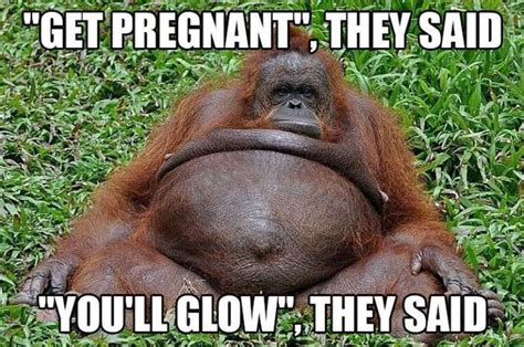 A great place to come for. Pin on Pregnancy humor