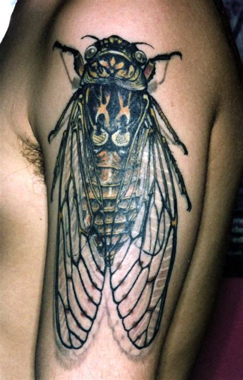 Jan 06, 2021 · reference materials can be arranged alphabetically, topically, or chronologically. Pin by Sarasvati Cremer on Cicada tattoo reference ...