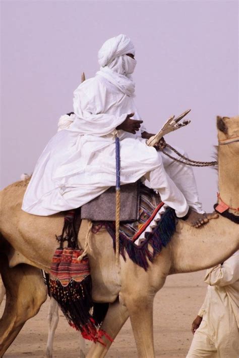 Looking for a real camel riding experience? Pin on Good Eye