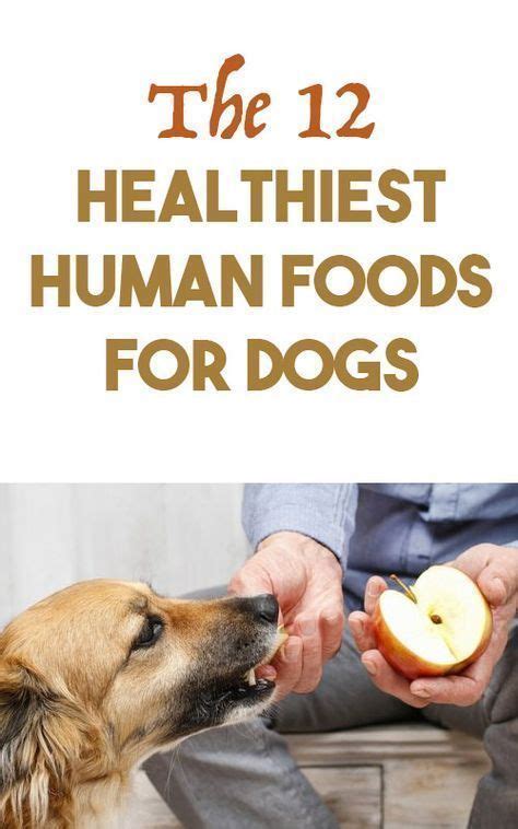 And certain types of fish are healthier for your dog than others. 12 Healthy Human Foods Dogs Can Eat | Human food for dogs ...