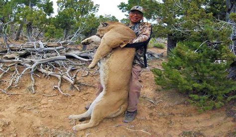 Hot older women who prey on hot young guys. Photos: Shed Hunt Turns into Massive Mountain Lion Harvest ...