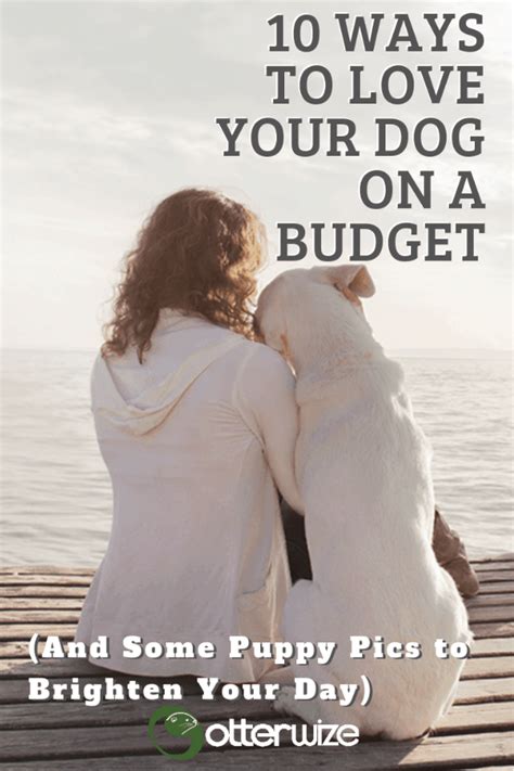 Plans cover new injuries or illness—so, if fido eats a sock or has a bout of diarrhea, simply visit the veterinarian and submit your paid vet bill for reimbursement. FIDO's Finances: 10 Ways to Love Your Dog on a Budget (And ...