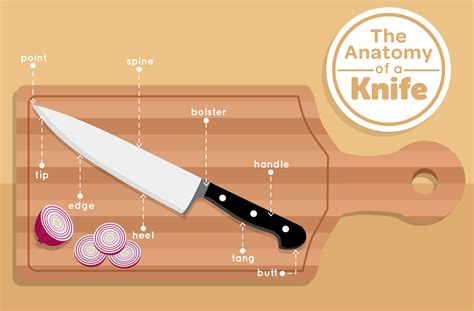 Most of you use a knife without ever learning what about the different parts, but we think that understanding a little about how a knife is constructed will help you become a better chef. The Anatomy of a Knife