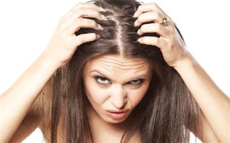 Apakah pertumbuhan rambut yang normal? Hormon punca rambut gugur | Harian Metro