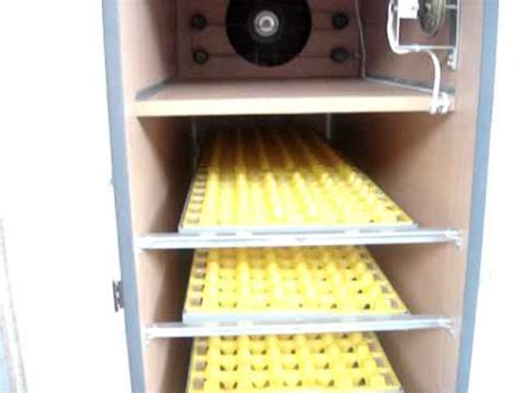 Here is a quick guide to help you determine which cabinet incubator is best for you. automatic egg incubator - YouTube