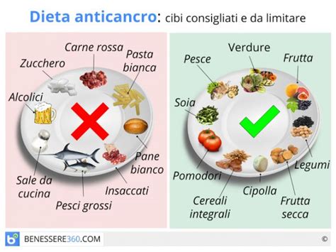 Frumento (grano), farro, orzo, avena, segale. Dieta anticancro: alimenti da evitare e cibi contro i tumori.