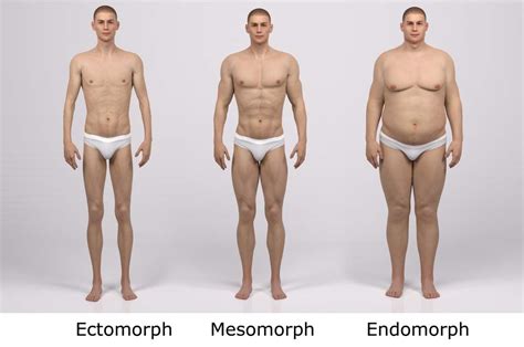 Quelle est votre morphologie? | Toutelanutrition