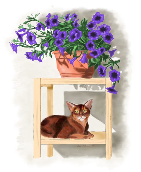 See more ideas about animal coloring pages, coloring pages, adult coloring. Abyssinian Cat - Fun, Intelligent, Devoted Dog-Cat