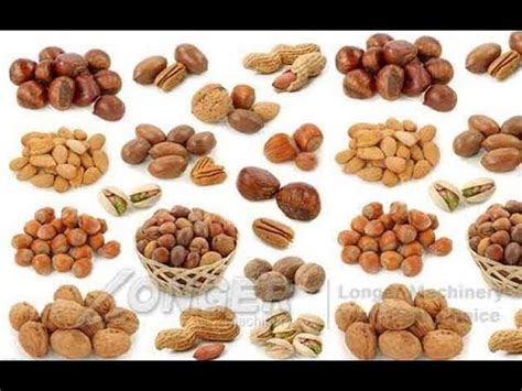 You can use the lines and post it in your whatsapp status. Sunflower Seed Roasting Line Peanut|Cashew nut|Almond ...