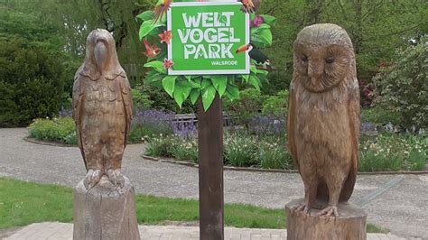 Walsrode holiday rentals walsrode holiday packages flights to walsrode walsrode restaurants walsrode attractions. Vogelpark Walsrode Mai 2016 - YouTube