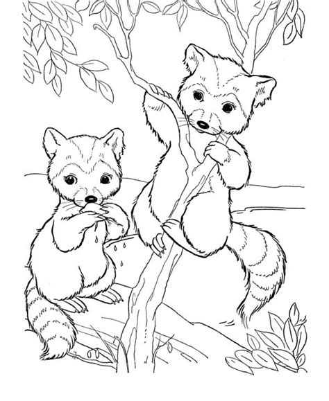 Download 149 racoon coloring stock illustrations, vectors & clipart for free or amazingly low rates! Little Raccoon Climbing Tree Coloring Page - NetArt