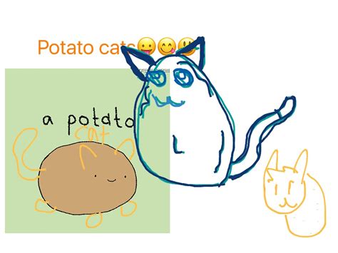 A potato flew around my room. Potato Flew Around My Room | Potatoes | ShowMe