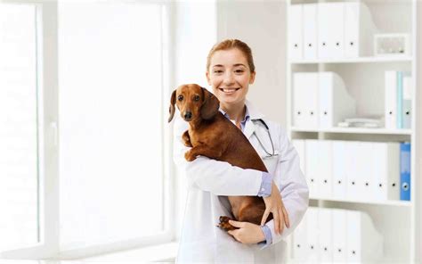 Monroe family pet hospital strives to offer excellence in veterinary care to monroe and surrounding areas. Essential Preventive Veterinary Services for Pets