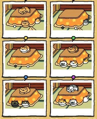 Can't get a pic because one is taking a bath directly in front of the camera. Kotatsu Cats | Beautiful cats, Cats, Kotatsu