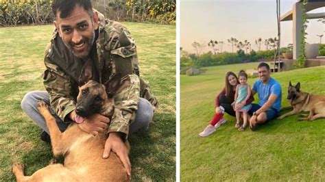 | new house & old house ms dhoni's daughter ziva dhoni's cute video getting angry at him for cheating in running race. CSK Captain, MS Dhoni's Ranchi Farmhouse Photos & Design ...