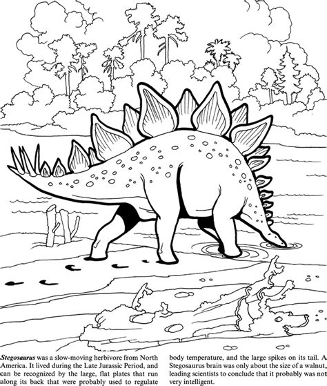 Kleurboeken koop je eenvoudig online bij bol.com gratis retourneren 30 dagen bedenktijd snel in huis. stegosaurus | Kleurplaten, Dinosaurus, Dinosaurussen
