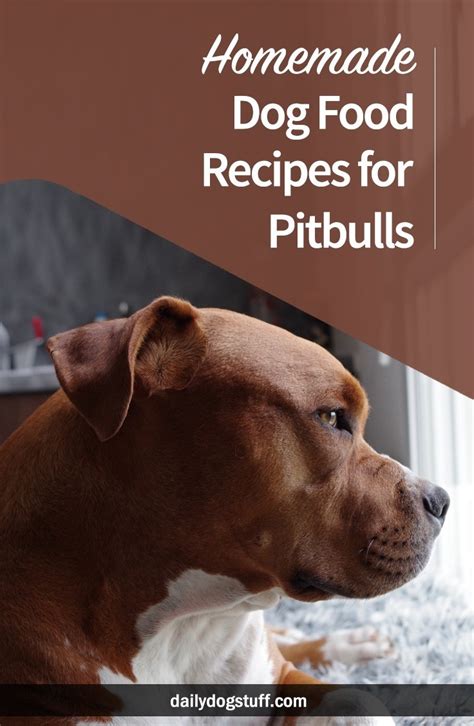 The best dog foods for allergies are available in one of 2 basic designs: 5 Homemade Dog Food Recipes for Pitbulls | Daily Dog Stuff