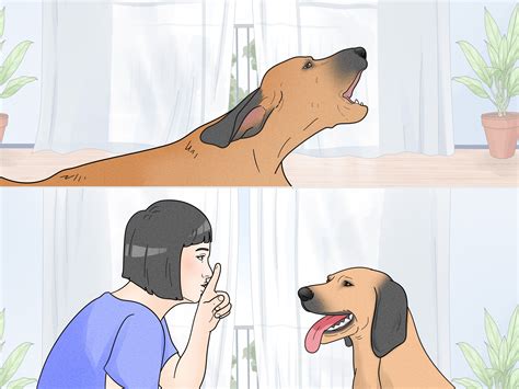 If your dog sits by the window or door waiting and barking, they are on guard. 4 Ways to Stop Dogs from Barking at People - wikiHow