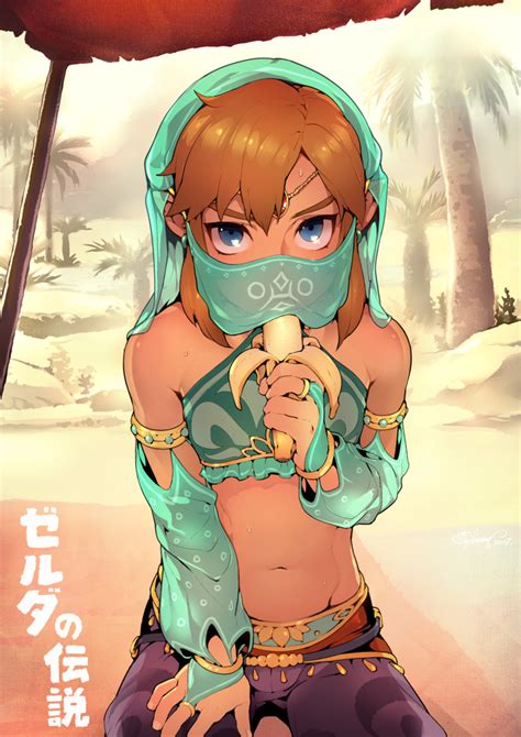 How do we know they're the hottest? link and gerudo link (the legend of zelda and 1 more ...