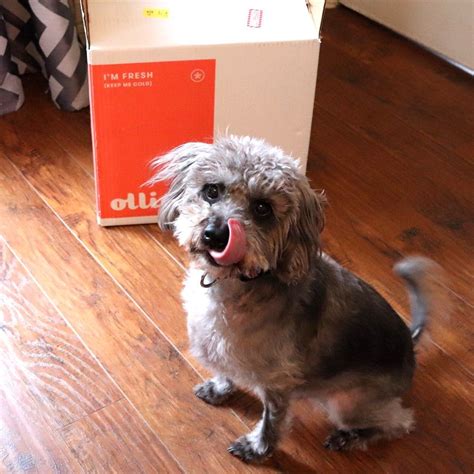 The company was founded in. Fresh Dog Food Delivery Service Review by Popular Pet ...